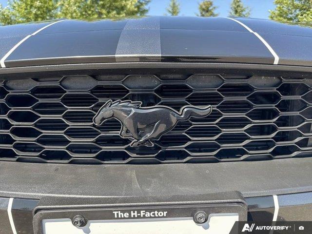 ford Mustang 2019 - 12