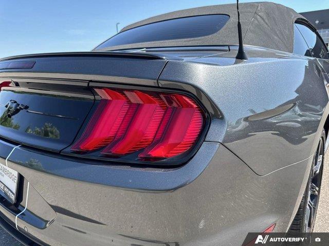 ford Mustang 2019 - 14