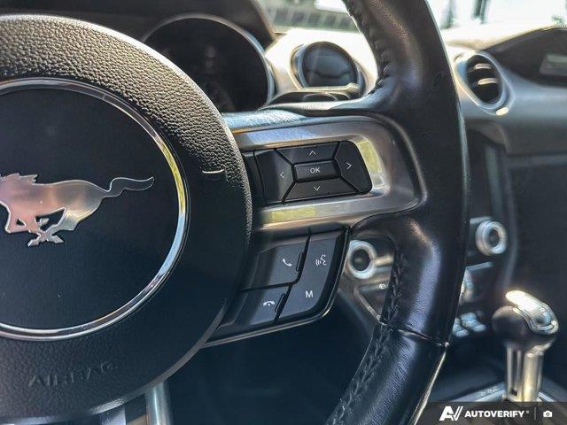 ford Mustang 2019 - 19