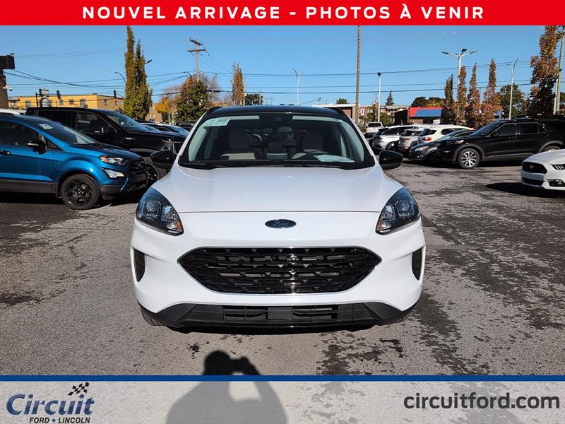 ford Escape 2021 - 2