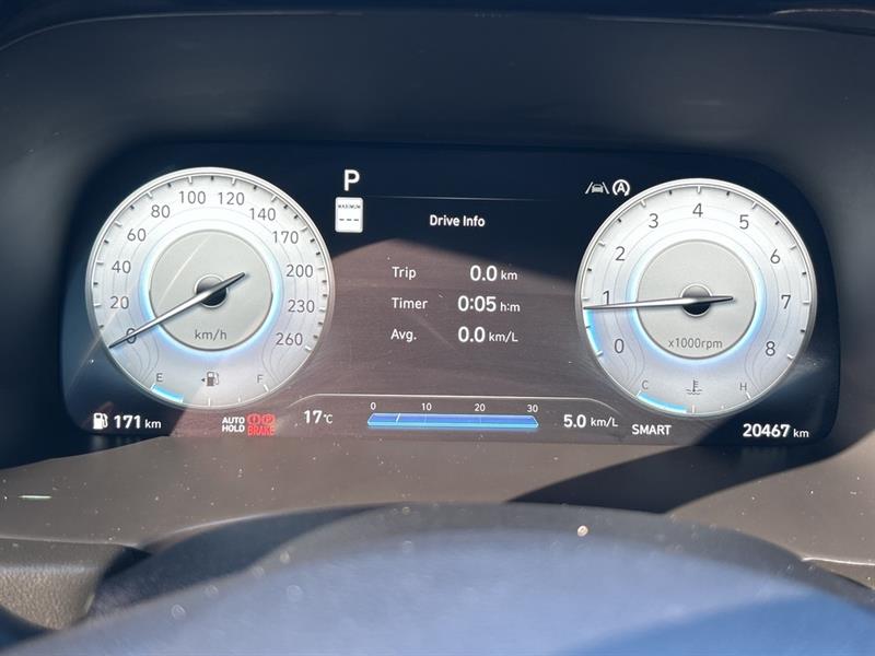 hyundai Palisade 2024 - 14