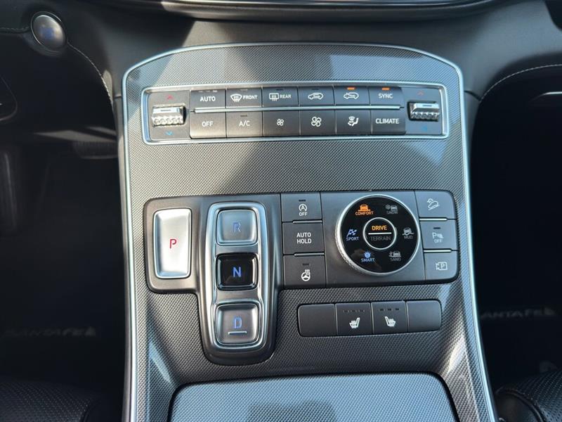 hyundai Santa Fe 2021 - 19