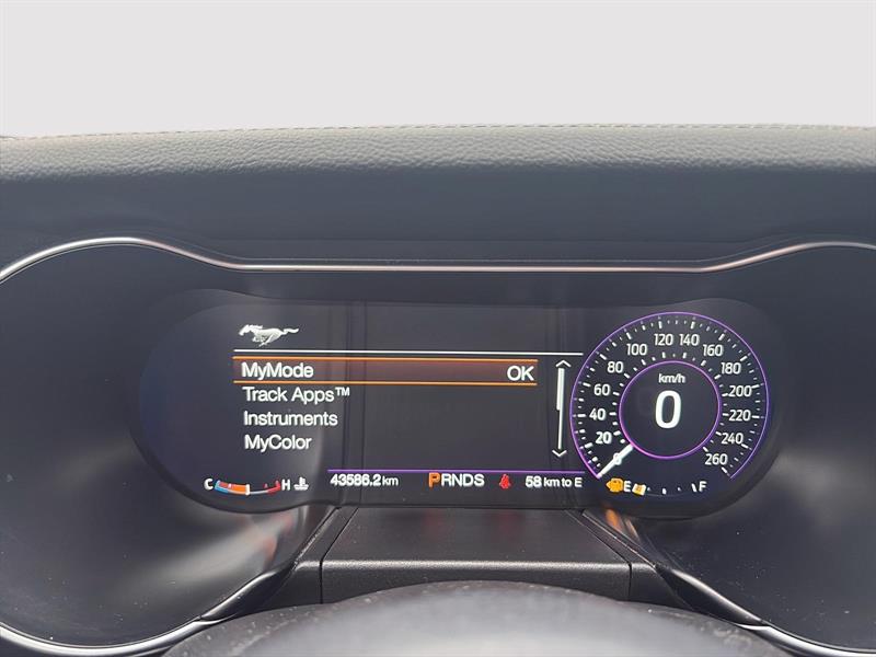 ford Mustang 2018 - 14