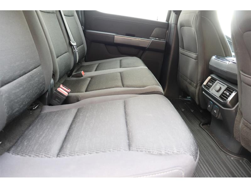 ford F-150 2021 - 12