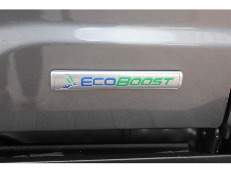 ford F-150 2021 - 45