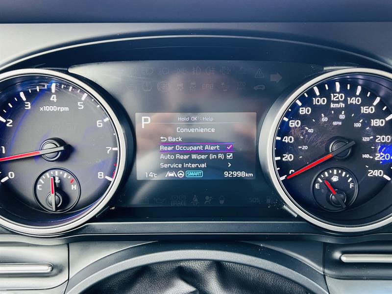 kia Carnival 2022 - 24