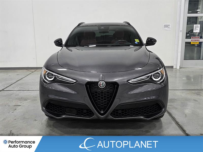 alfa romeo Stelvio 2022 - 2