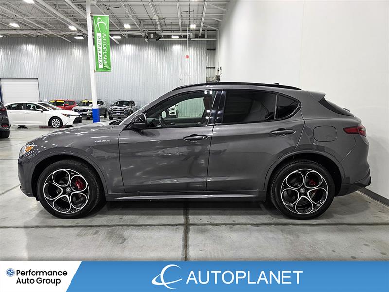 alfa romeo Stelvio 2022 - 4