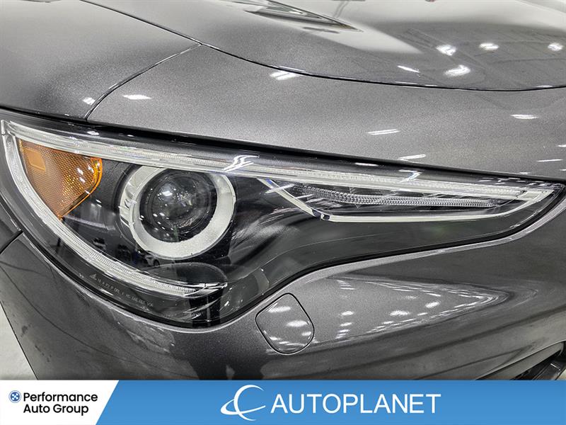 alfa romeo Stelvio 2022 - 11