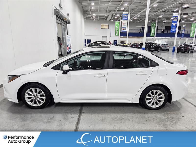 toyota Corolla 2022 - 4