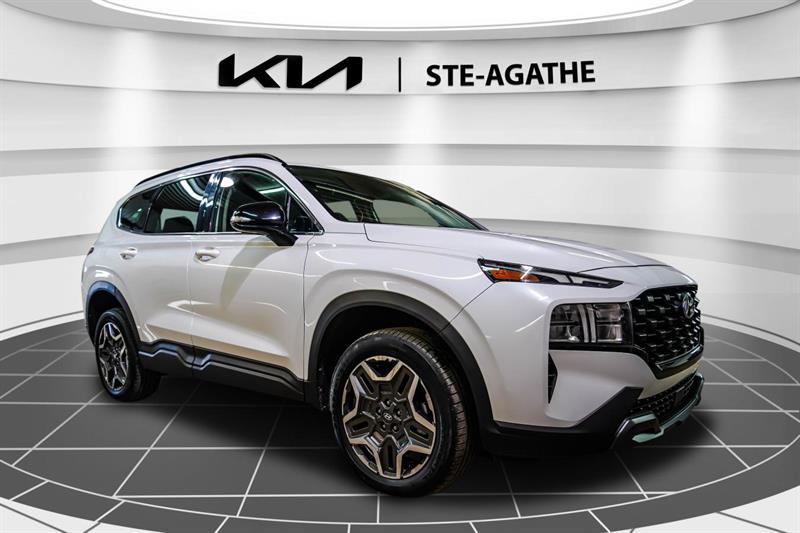 hyundai Santa Fe 2022 - 9