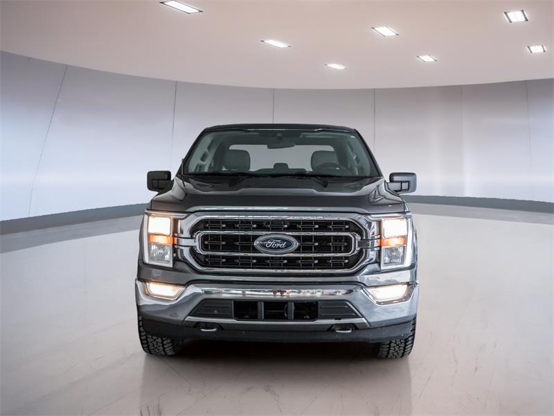 ford F-150 2021 - 3