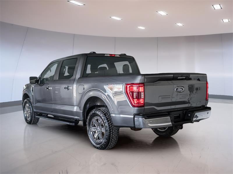 ford F-150 2021 - 6