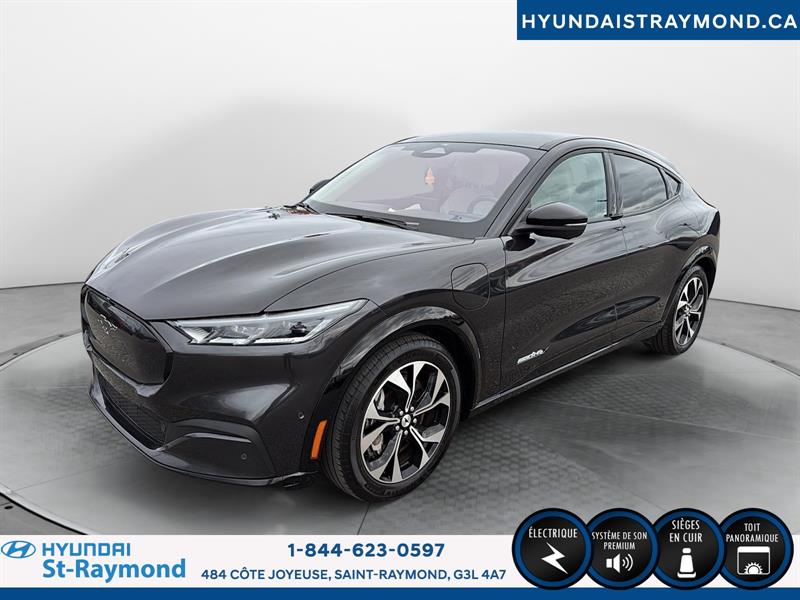 ford Mustang Mach-E 2022