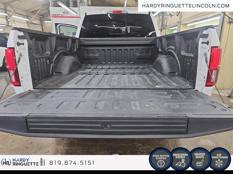 ford F-150 2019 - 15