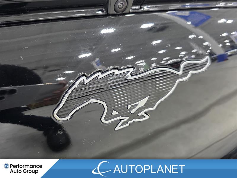 ford Mustang Mach-E 2023 - 15