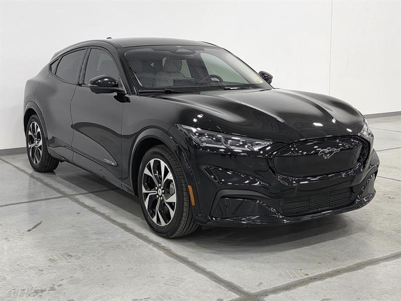 ford Mustang Mach-E 2023 - 48