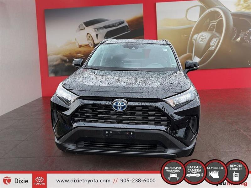 toyota RAV4 2020 - 2