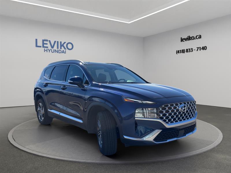 hyundai Santa Fe 2021 - 7