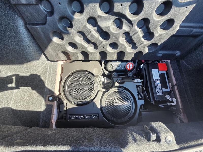 dodge Challenger 2020 - 20