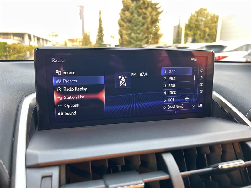 lexus NX 300 2019 - 11