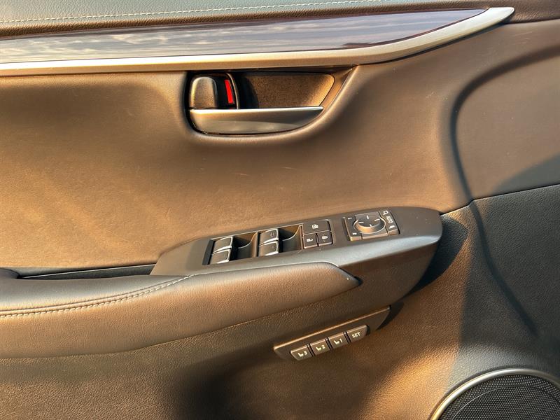 lexus NX 300 2019 - 15