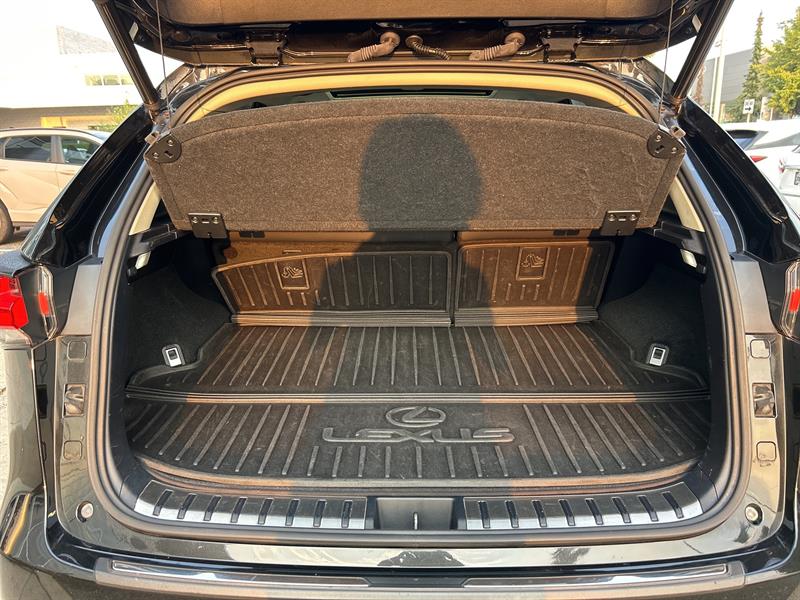 lexus NX 300 2019 - 20