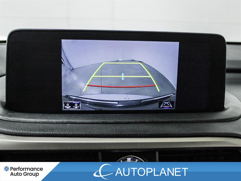 lexus RX 350 2022 - 34