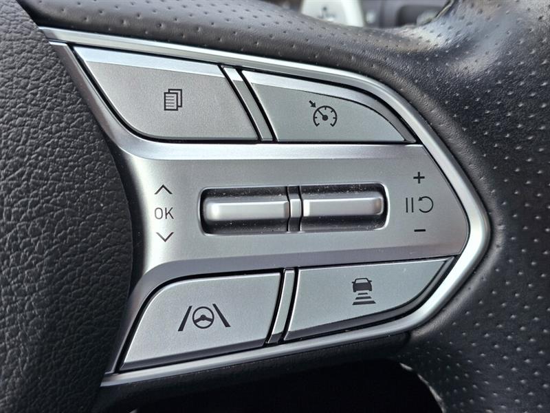 hyundai Santa Fe 2021 - 16