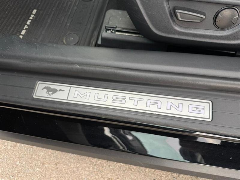 ford Mustang 2024 - 13