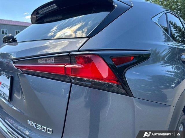lexus NX 2021 - 14