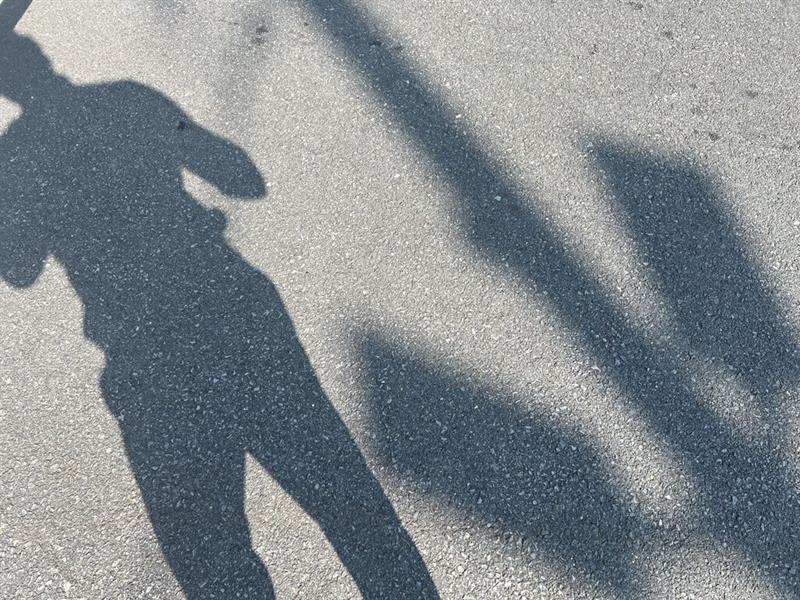 dodge Grand Caravan 2016 - 3