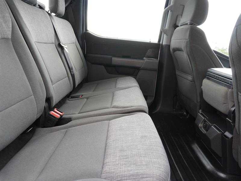 ford F-150 2023 - 12