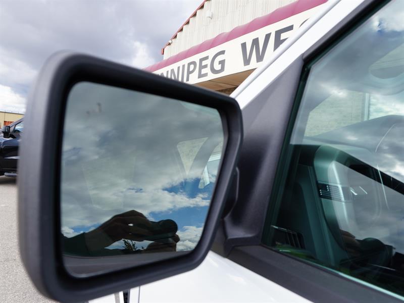 ford F-150 2023 - 39