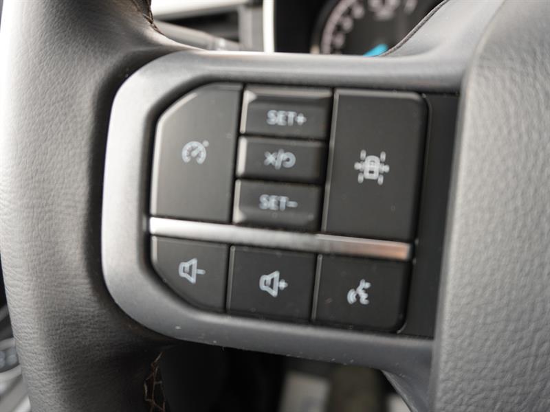 ford F-150 2023 - 44