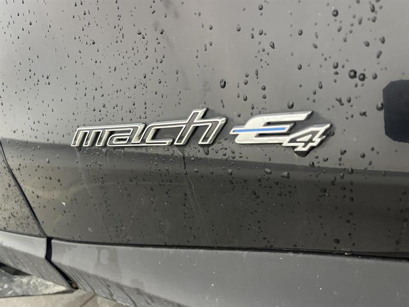 ford Mustang Mach-E 2022 - 19