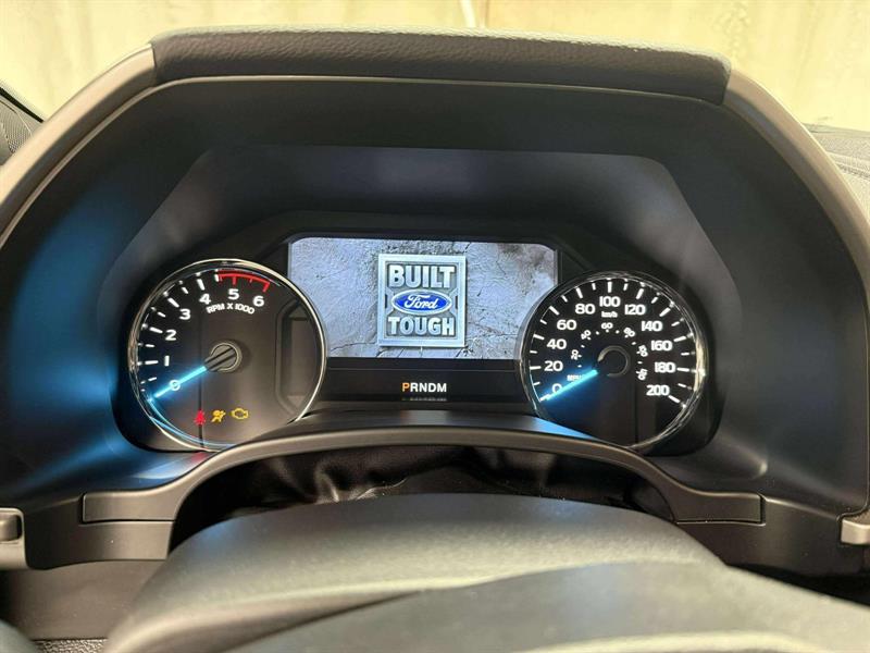 ford F150 SUPERCREW 2019 - 14