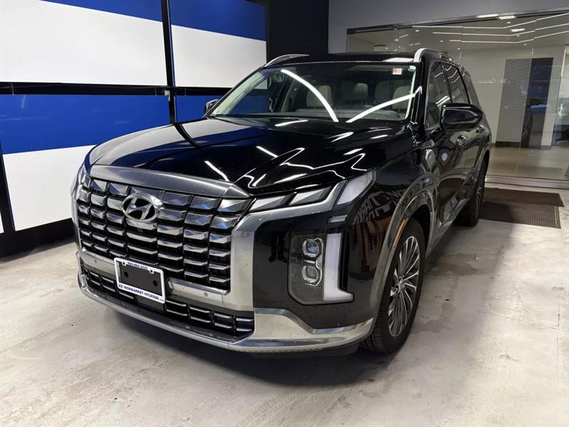 hyundai Palisade 2024 - 2