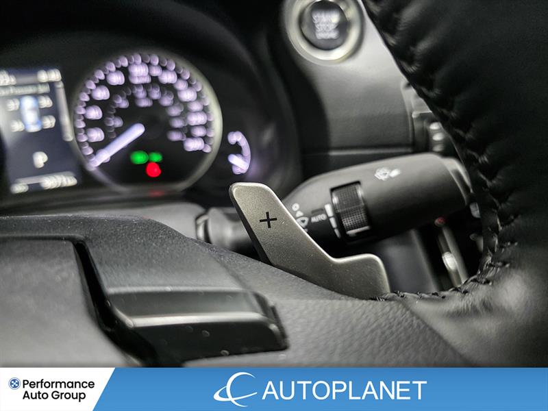 lexus IS 300 2024 - 25