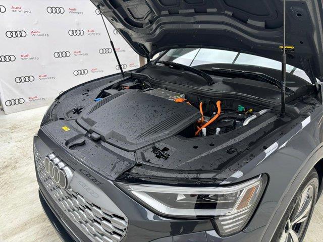 audi Q8 e-tron 2024 - 10