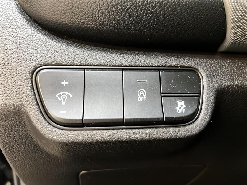 kia Seltos 2022 - 19