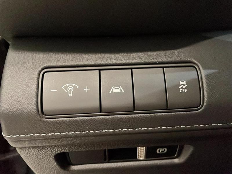 hyundai Santa Fe 2023 - 13