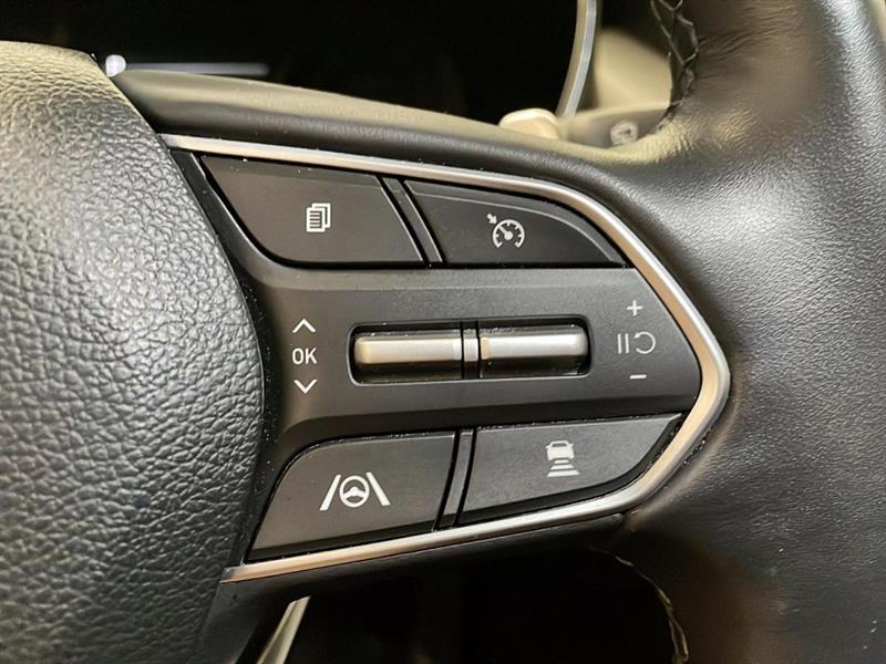 hyundai Santa Fe 2023 - 16