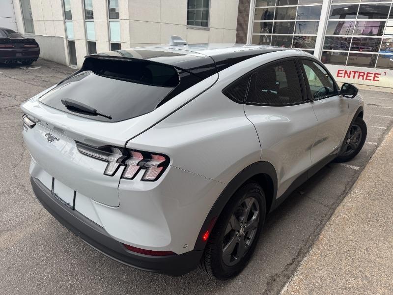 ford Mustang Mach-E 2022 - 5