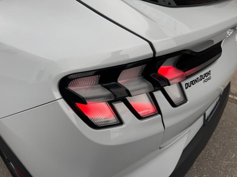 ford Mustang Mach-E 2022 - 13