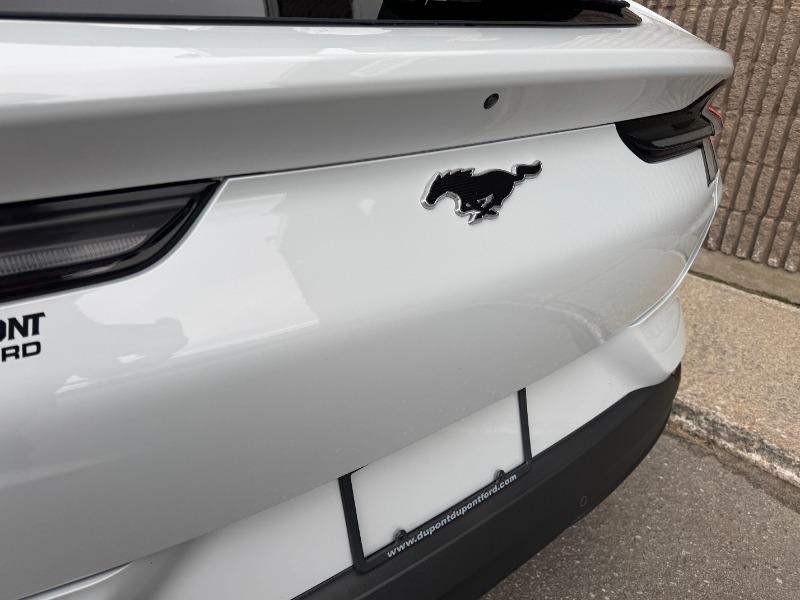 ford Mustang Mach-E 2022 - 14