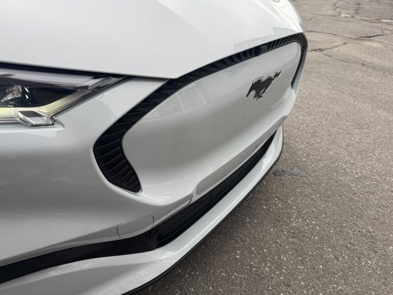 ford Mustang Mach-E 2022 - 17