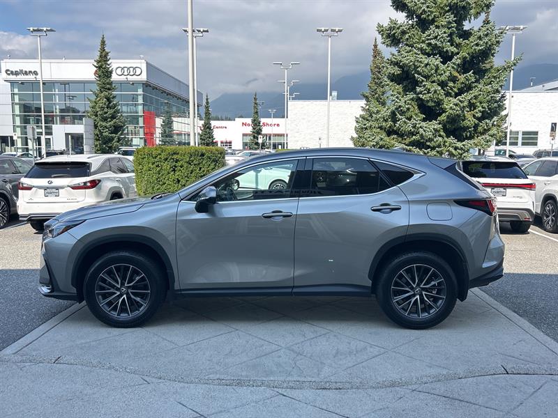 lexus NX 2024 - 2
