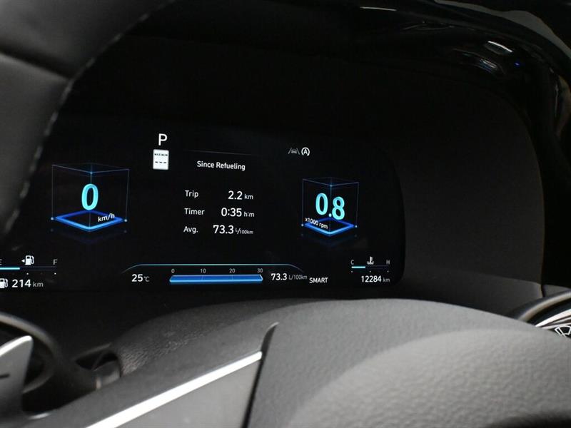 hyundai Palisade 2025 - 13