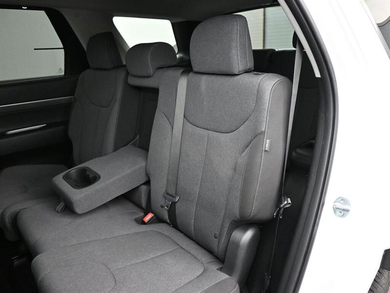 hyundai Palisade 2024 - 14
